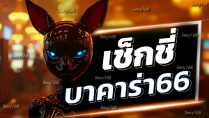 เช็กชี่บาคาร่า66