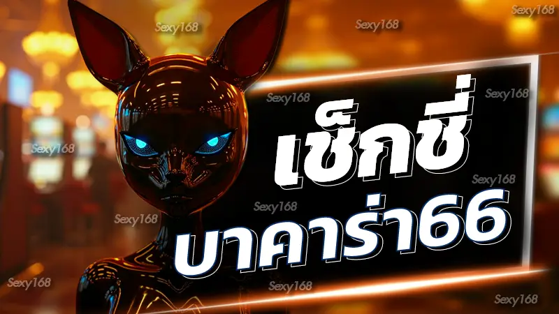 เช็กชี่บาคาร่า66