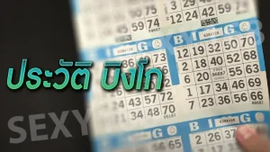 ประวัติ บิงโก