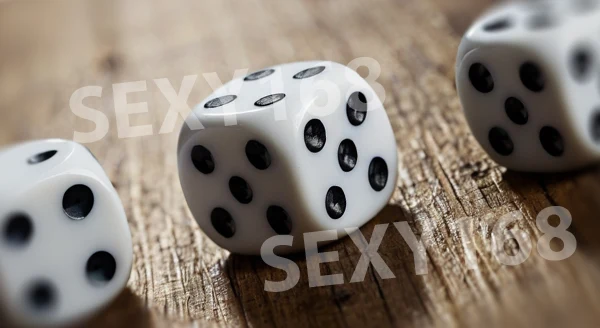 ประวัติ ไฮโล