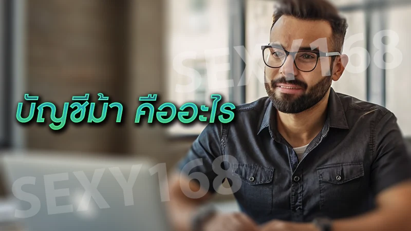 บัญชีม้า คืออะไร