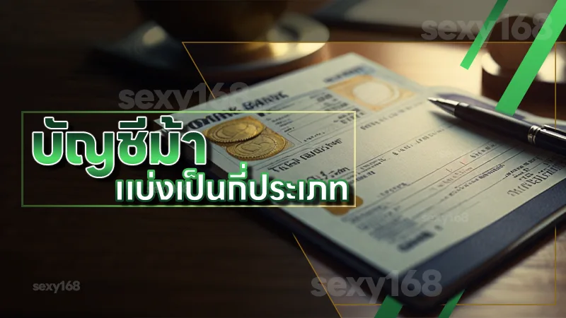 บัญชีม้า แบ่งเป็นกี่ประเภท