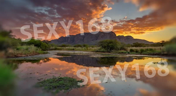 ประวัติ คาสิโนบอตสวานา