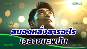 สมองหลั่งสารอะไร เวลาชนะพนัน