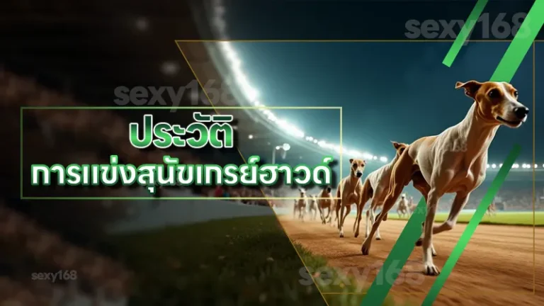 ประวัติ การแข่งสุนัขเกรย์ฮาวด์