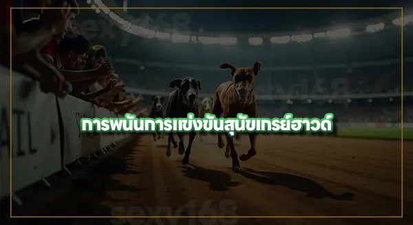 ประวัติ การแข่งสุนัขเกรย์ฮาวด์