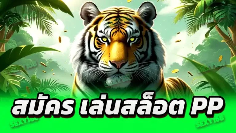 สมัคร เล่นสล็อต PP