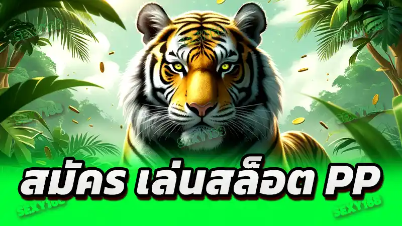 สมัคร เล่นสล็อต PP