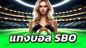 แทงบอล sbo