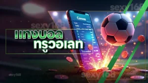 แทงบอล ทรูวอเลท