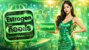 Estrogen คืออะไร
