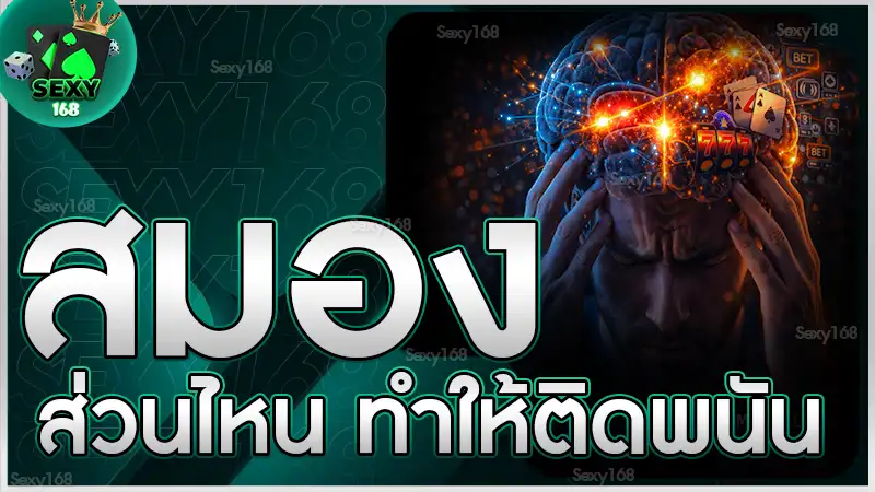 สมองส่วนไหน ทำให้ติดพนัน