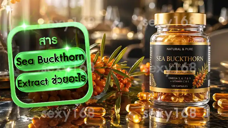 Sea Buckthorn Extract ช่วยอะไร