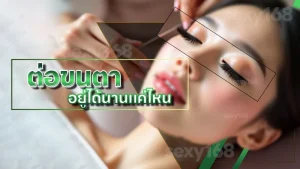 ต่อขนตา อยู่ได้นานแค่ไหน