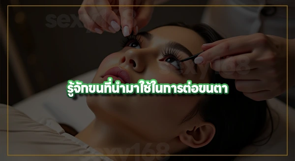 ต่อขนตา อยู่ได้นานแค่ไหน