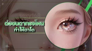 ต่อขนตาทรงไหน ทำให้ตาโต