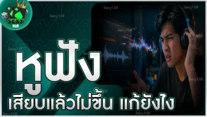 หูฟังเสียบแล้วไม่ขึ้น แก้ยังไง