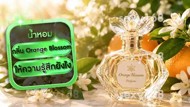 กลิ่น Orange Blossom ให้ความรู้สึกยังไง