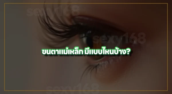 ขนตาแม่เหล็ก คืออะไร