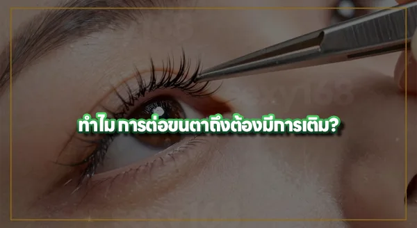 ต่อขนตา กี่วันถึงเติมได้