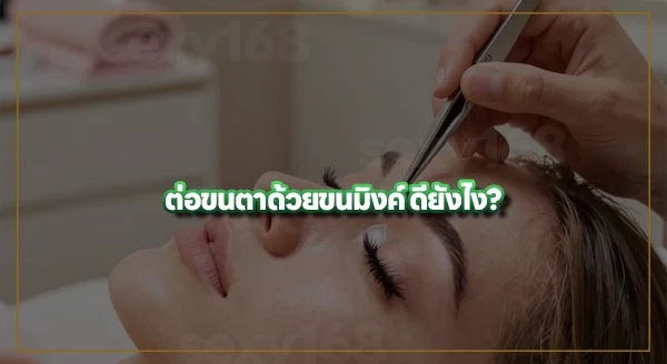 ต่อด้วยตาด้วยขนมิงค์ คืออะไร