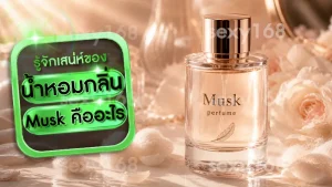 น้ำหอมกลิ่น Musk คืออะไร