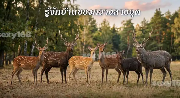 กวางที่สวย ที่สุดในโลก