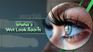 ขนตา Wet Look คืออะไร