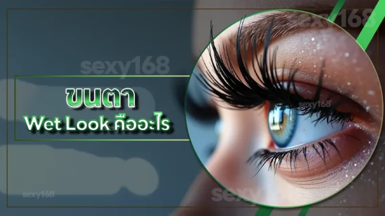 ขนตา Wet Look คืออะไร