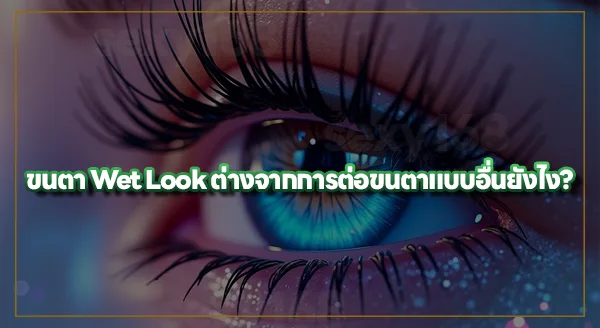 ขนตา Wet Look คืออะไร
