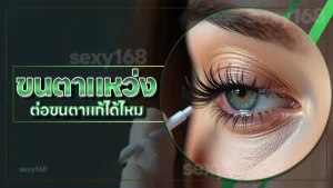 ขนตาแหว่ง ต่อขนตาแก้ได้ไหม
