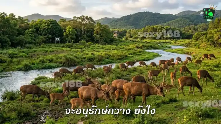 จะอนุรักษ์กวาง ยังไง