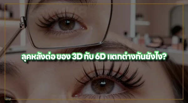 ต่อขนตา 3D กับ 6D ต่างกันยังไง