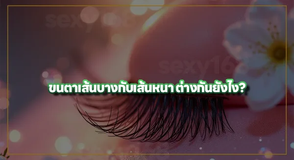 ต่อขนตา ความหนาเท่าไหร่ดี
