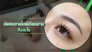ต่อขนตาสไตล์เวียดนาม คืออะไร