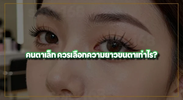 ต่อขนตาแบบไหน เหมาะกับคนตาเล็ก