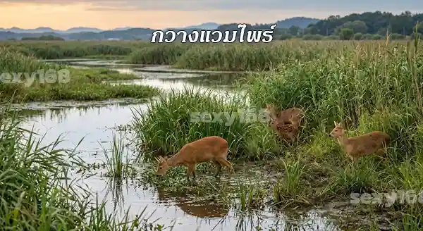 ทำไมกวางน้ำ ถึงหายาก