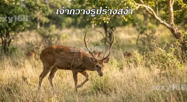 ละองหรือละมั่ง เป็นยังไง