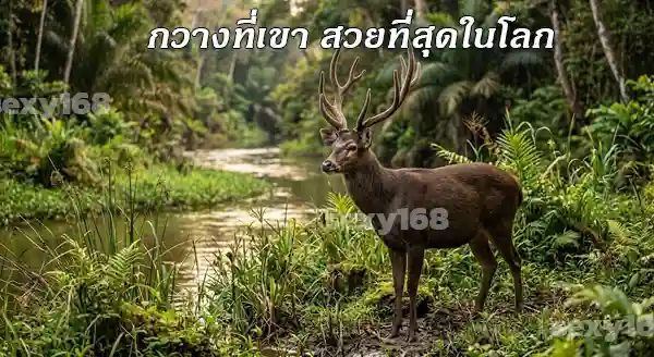 สมัน คือกวางหรือเปล่า