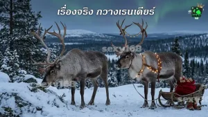 เรื่องจริง กวางเรนเดียร์