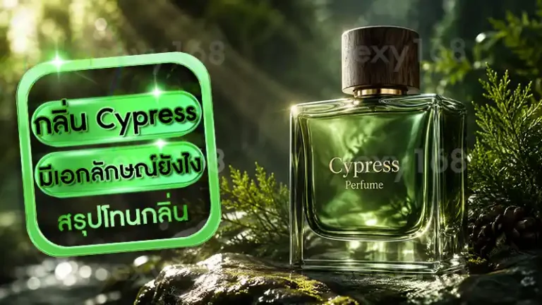 กลิ่น Cypress มีเอกลักษณ์ยังไง