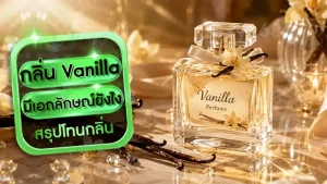 กลิ่น Vanilla มีเอกลักษณ์ยังไง
