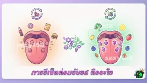 การรีเซ็ตต่อมรับรส คืออะไร