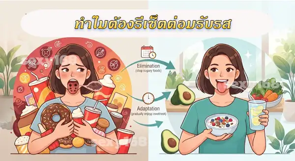 การรีเซ็ตต่อมรับรส คืออะไร