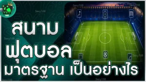 สนามฟุตบอลมาตรฐาน เป็นอย่างไร