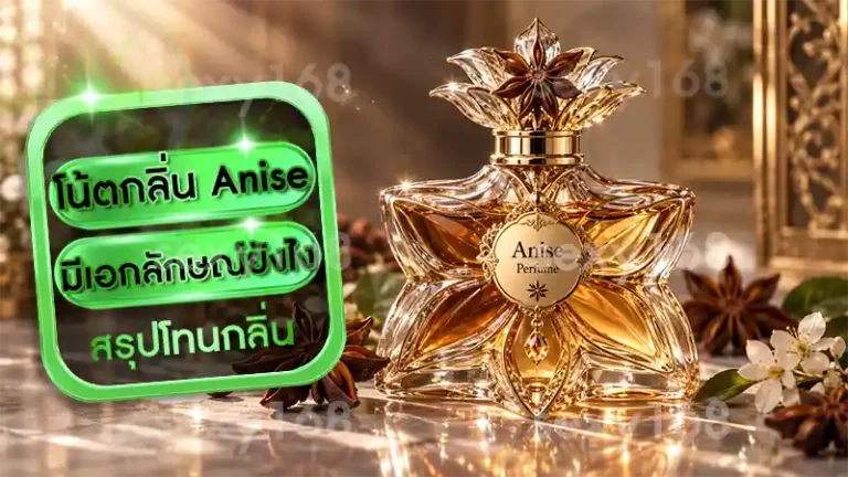 โน้ตกลิ่น Anise มีเอกลักษณ์ยังไง