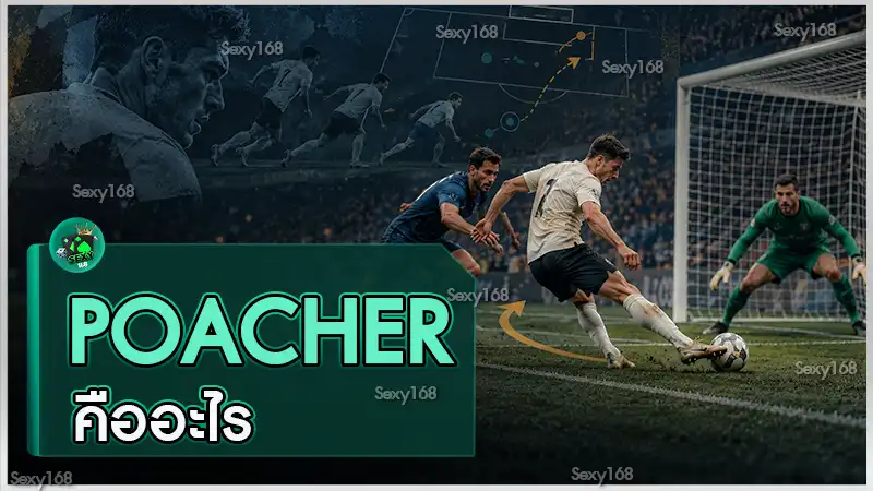 Poacher คืออะไร