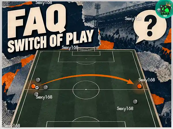 Switch of Play คืออะไร