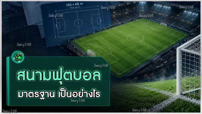 สนามฟุตบอลมาตรฐาน เป็นอย่างไร