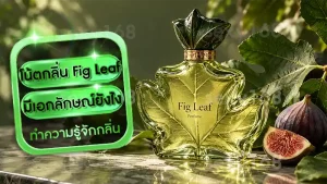 โน้ตกลิ่น Fig Leaf มีเอกลักษณ์ยังไง